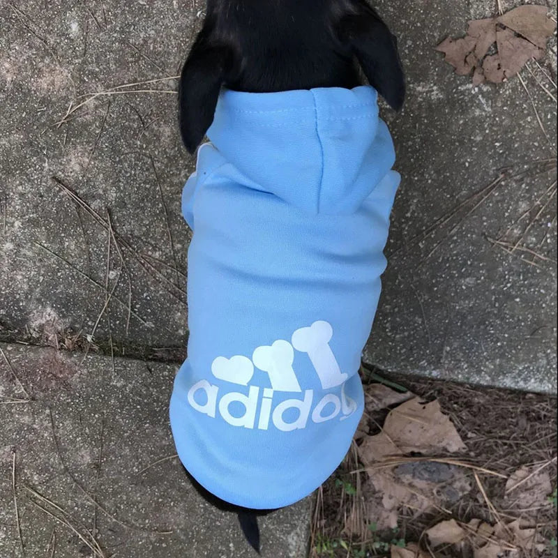 Winter Dog Clothes