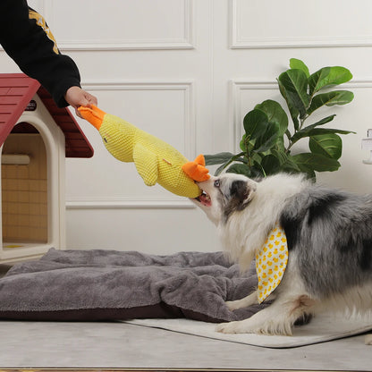 Dog Sleeping Toy Duck