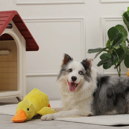 Dog Sleeping Toy Duck