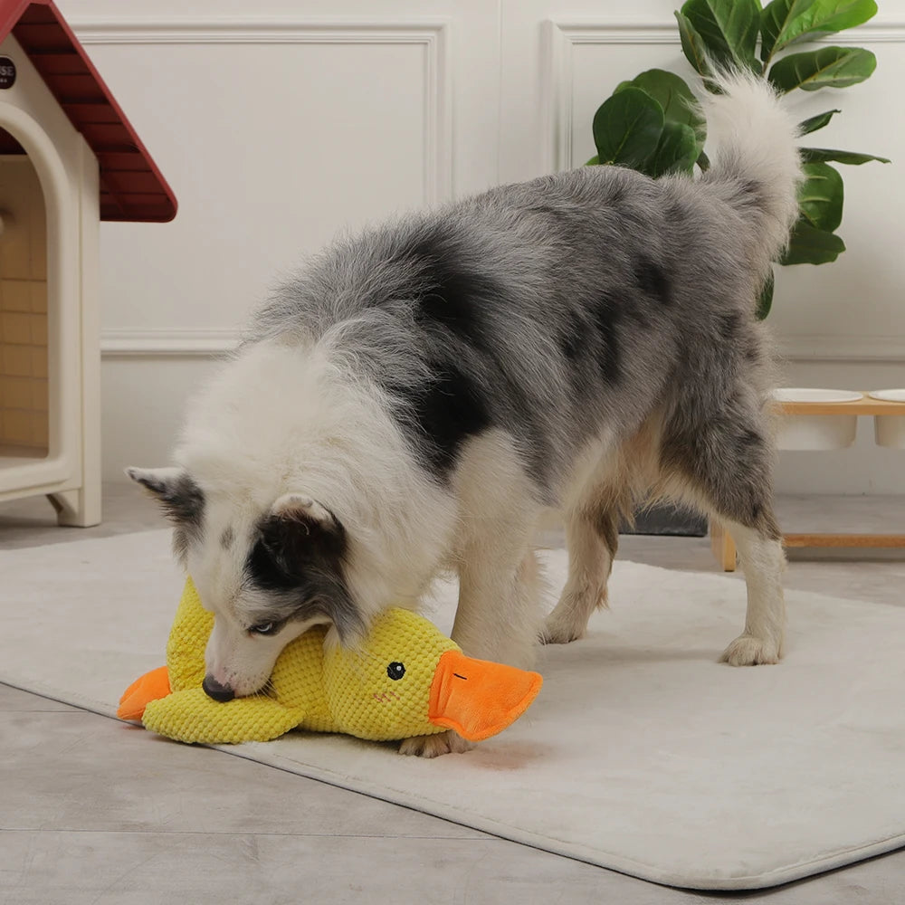 Dog Sleeping Toy Duck