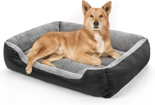 Dog Beds