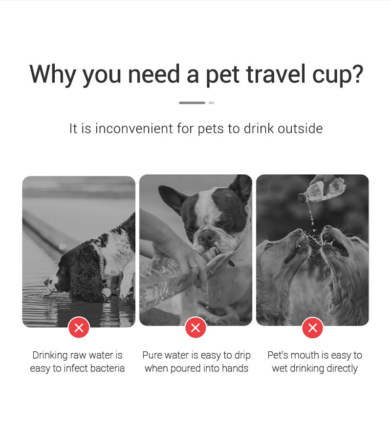 Portable Pet Water Bottle