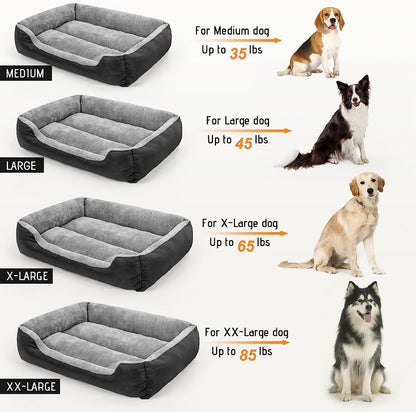 Dog Beds