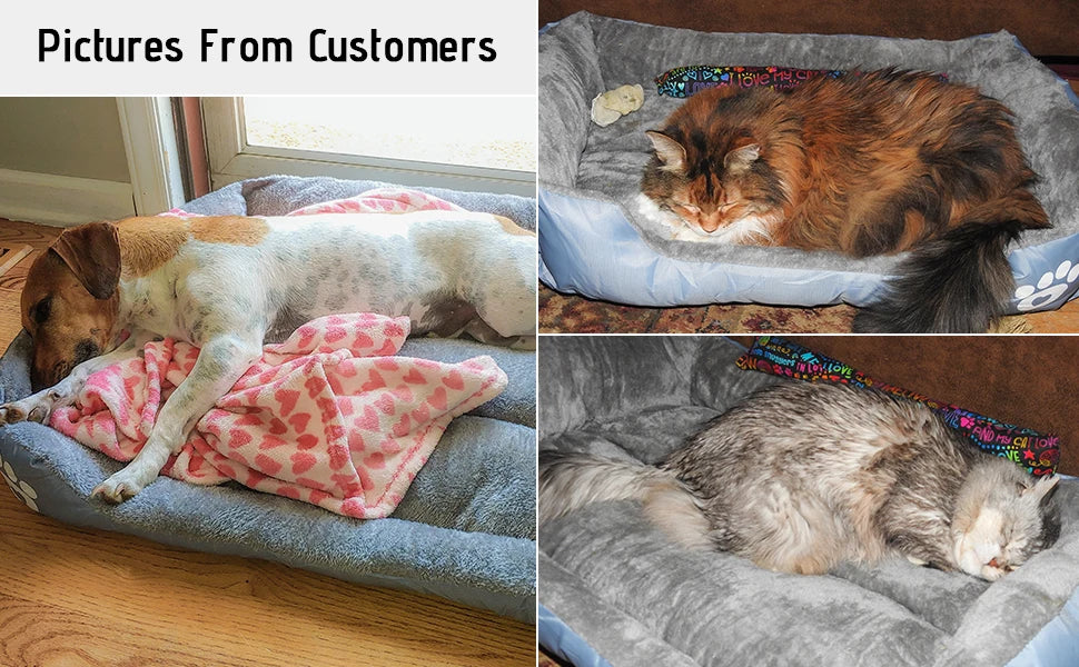 Dog Beds